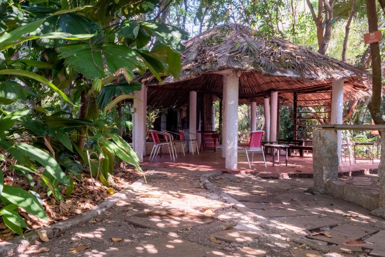 Mangaal Farmstay Goa Vichondrem Eksteriør billede